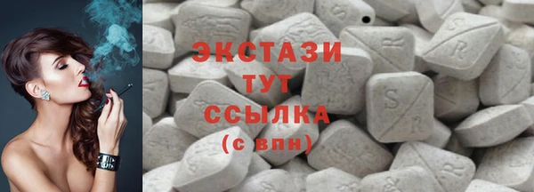 apvp Каменка