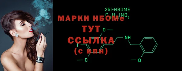 дживик Инта