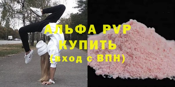 apvp Каменка