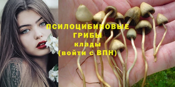 apvp Каменка