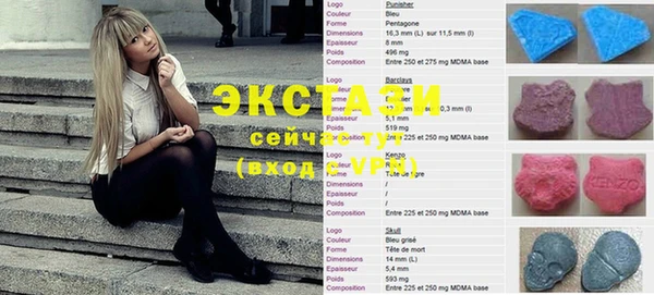 apvp Каменка
