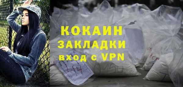 apvp Каменка