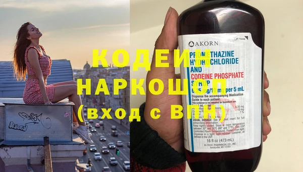 apvp Каменка