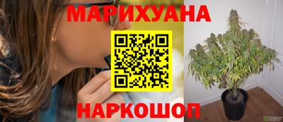 амф Ярцево