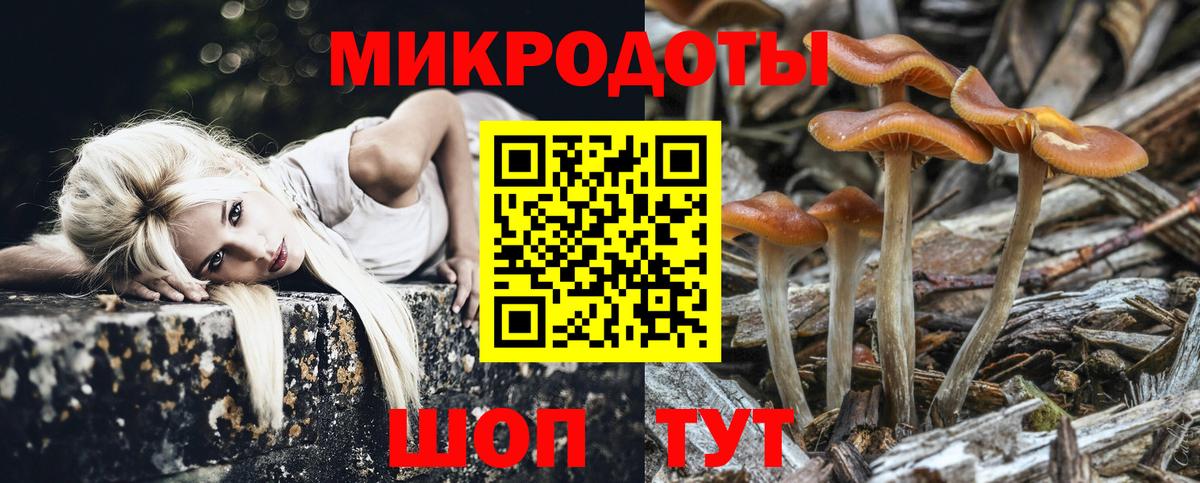 Вологда  Псилоцибиновые грибы прущие грибы  Вход с VPN 